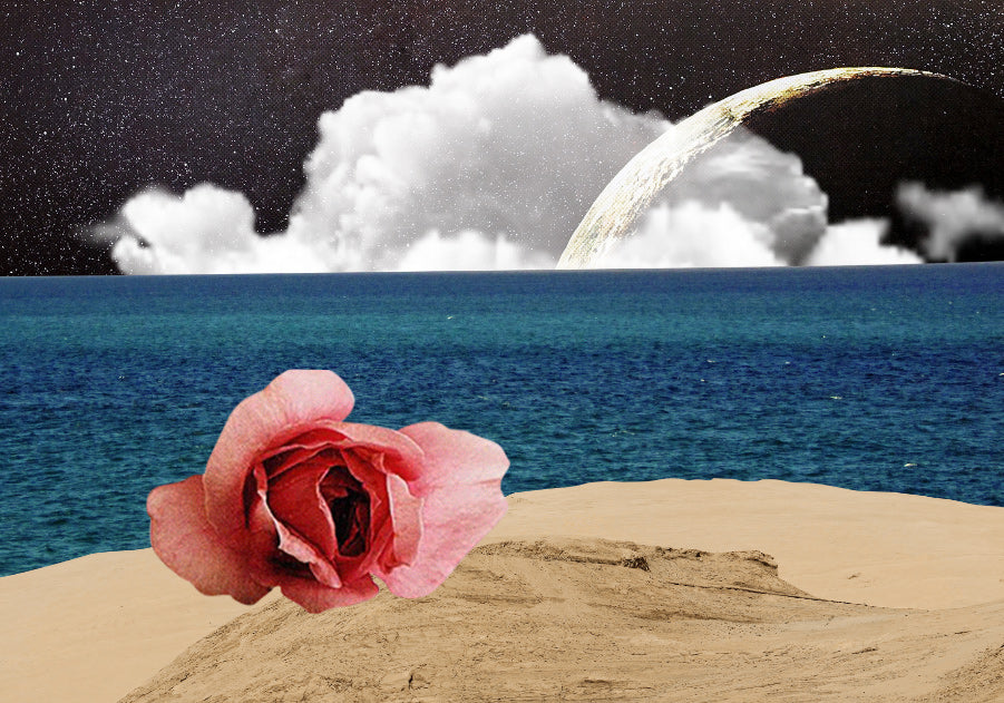 micropause | your daily dose for modern menopause – Micropause